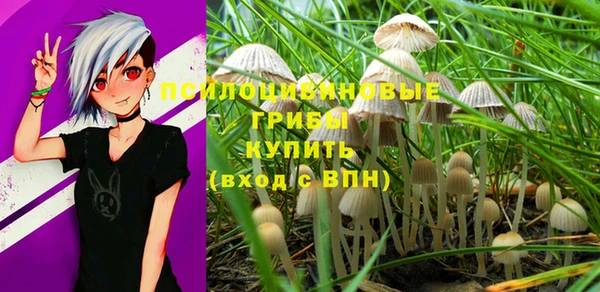 кокс Аркадак