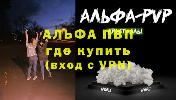 дживик Армянск
