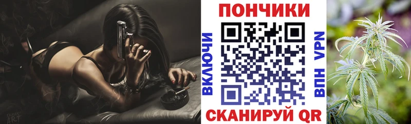 Бошки марихуана ГИДРОПОН купить сайты mega ссылка Баксан