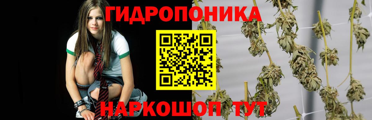 Каннабис VHQ Баксан